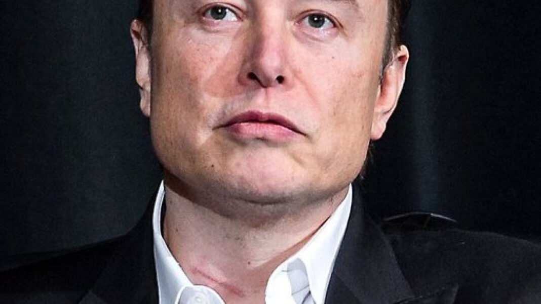 Musk Elon