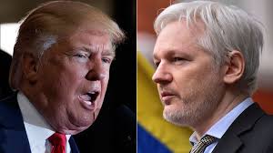Trump X Assange